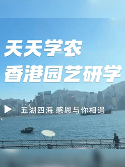 与香港园艺学会联合举办香港园艺研学，专业园境师带队讲解。