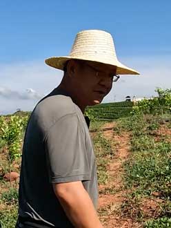 农业人叶涛，50多岁通讯人跨界搞农业，他要用1000万打造一个梦。