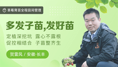 多发子苗，发好苗